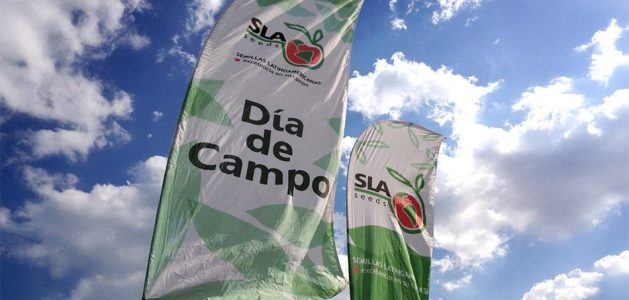 Semillas híbridas de hortalizas